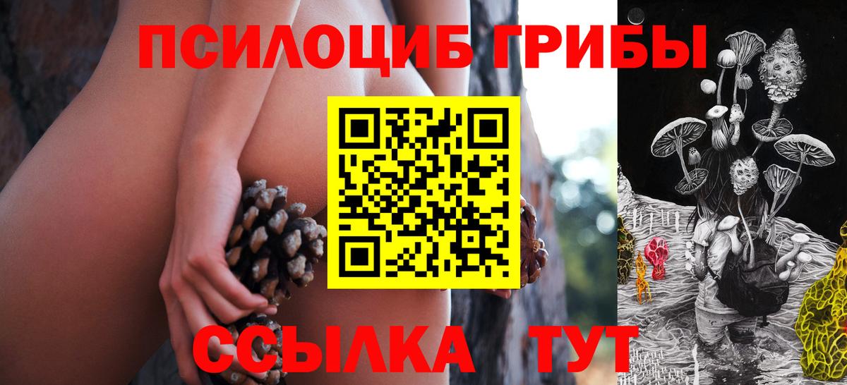 Галлюциногенные грибы Psilocybine cubensis Югорск